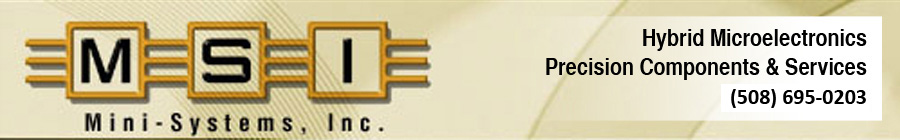 Mini Systems Inc